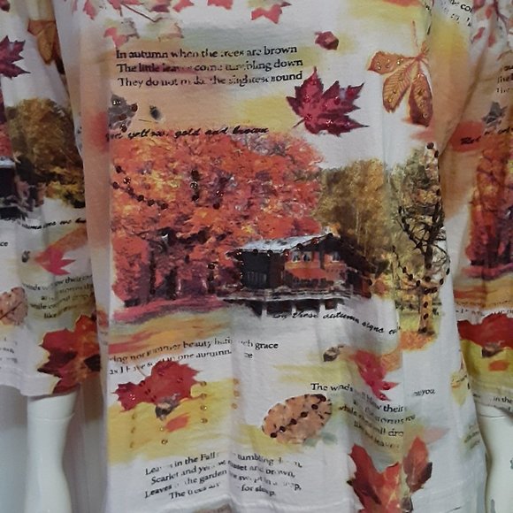 Pretty Autumn Top W/ Sequins - Picture 2 of 5